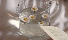 适合发朋友圈的高情商短句