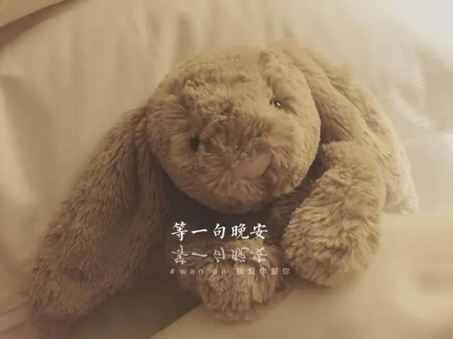 晚安1