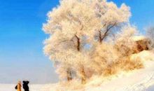 适合冬天发的文案