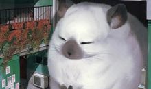 开心作文中的好句子