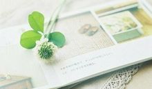 优美的句子摘抄短句