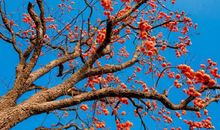 形容开心最重要的句子