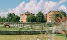 令人开心的事的句子