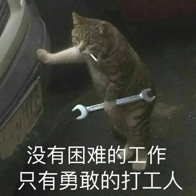 谈论在朋友圈打工人的计划1