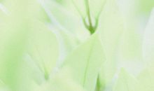 开心的句子有哪些