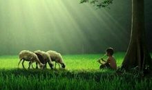 暑假最开心的句子