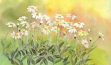 结婚了也会后悔的句子