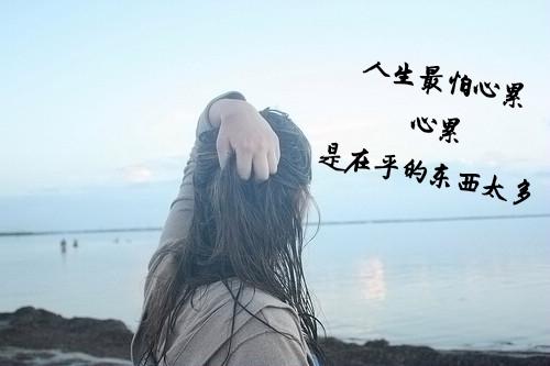 朋友圈中的句子很美