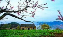 每天保持好心态的说说简短