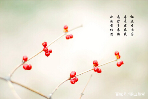 委婉表达缺少的诗