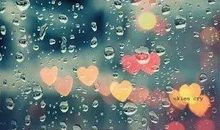 死心的句子说说心情