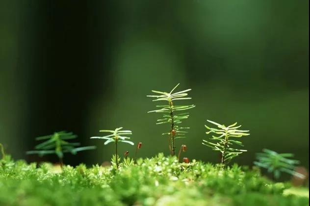 赌博经典霸气名言