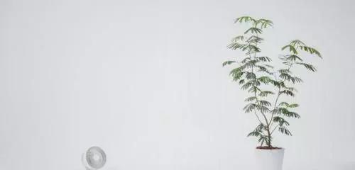 赌博经典霸气名言1