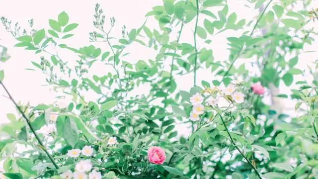 赌博经典霸气行情2