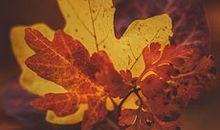 做了某件事而后悔的句子