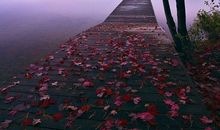 错过会后悔可惜的句子