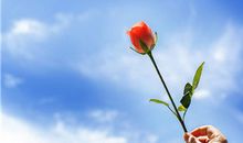 周末愉快最简单的一句话