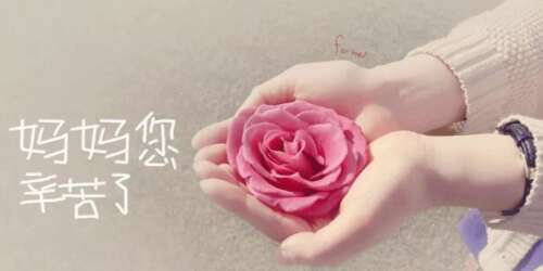 给妈妈的美好而简短的消息