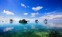 每天都要开心的句子