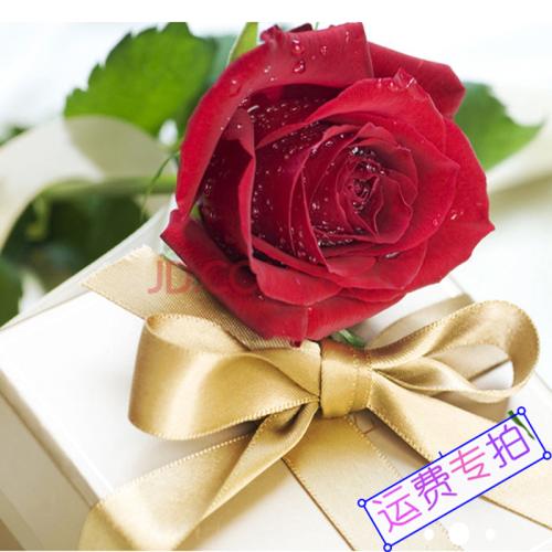 向客户发送鲜花卡问候
