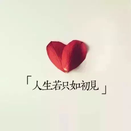 每天早晨，向朋友圈发送消息