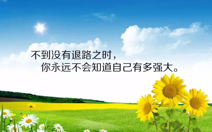 正能量句经典句工作动机1