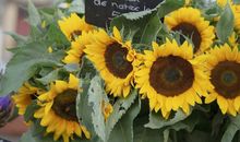 希望一个人开心的句子