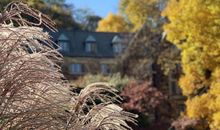 表达开心快乐的句子