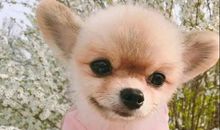 抱怨的句子说说心情