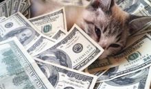 收到红包开心的句子