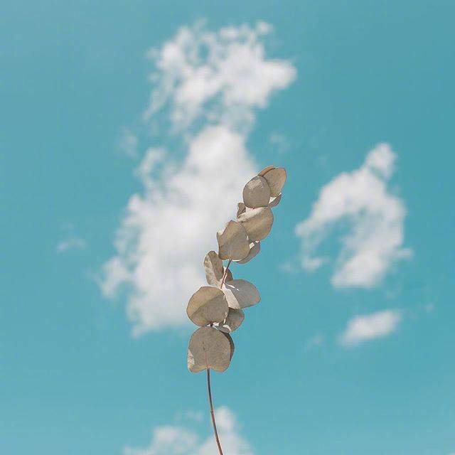 八个经典励志短语