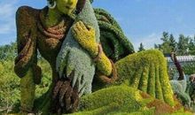 太阳升起开心的句子