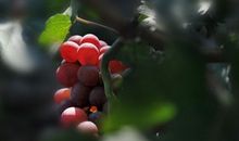 能让自己开心的句子