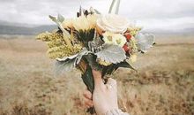 温柔文案短句干净