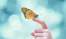 舒婷《致橡树》经典语录