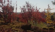 形容唱歌开心的句子