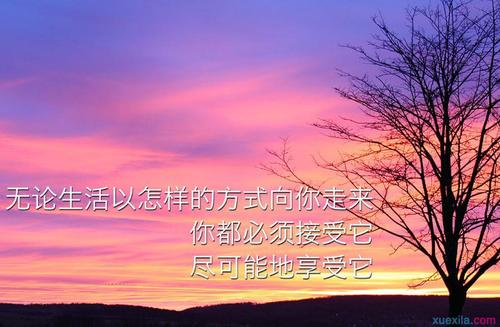 高中奋斗励志名言
