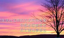 高中奋斗励志语录