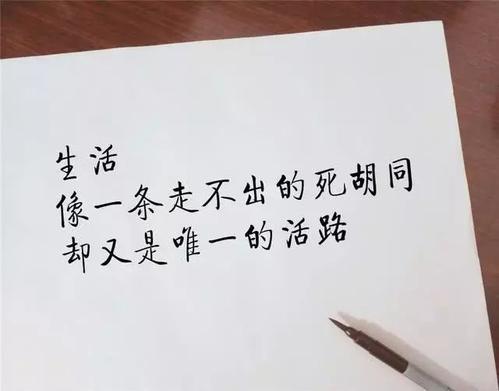 最近流行的斗隐话语