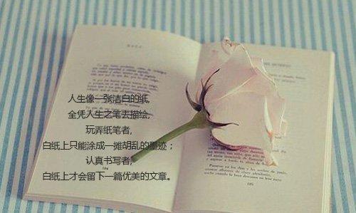 美丽的摘录