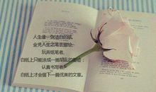 优美的摘抄句子