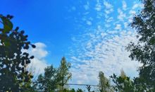 比喻开心激动的句子