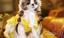 开心一笑幽默的句子