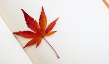 适合所有情绪的说说