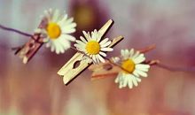 抖音超火治愈系句子