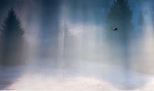 形容开心的文艺句子