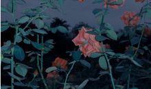 抖音最火意难平伤感文案