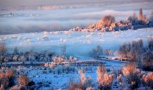 过节回家开心的句子