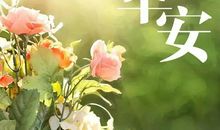 美好的一天从清晨开始的句子