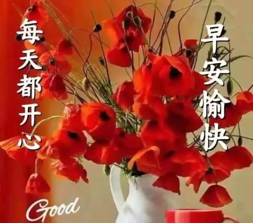 每年美丽的祝福